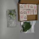 Wonderjune 12 Sets Mini Thank You Gifts Bulk for Women Positive Mini Flowers with Bud Vases Desk Decor Back to School Student Gifts Small Box Breathing Employee Appreciation for Staff (Green)