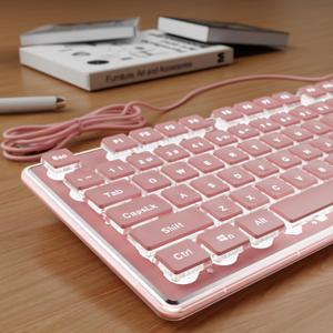 SEUNKWANG Wired Backlit Keyboard, Aesthetic Full Size Computer Keyboard with Pudding Keycaps, Aluminum Metal Panel, Quiet USB Keyboard for Windows PC, Desktop, Pink