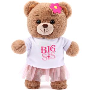 Civaner Big Sister Gifts for Girls 9.8" Bear Stuffed Animal with Removable White T-Shirt Pink Skirt Big Sister Plush Bear to Celebrate Girl Promoted to Sis Newborn Siblings Baby Shower Birthday Gift