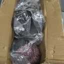 Plastic Owl Decoys [Set of 3] - Multicolor Owl Statues for Garden & Outdoors, Scare Birds Away, Realistic Design with Reflective Eyes, Weather Resistant