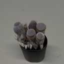 BS-MALL Makeup Brush Set 18 Pcs Premium Synthetic Foundation Powder Concealers Eye shadows Blush Makeup Brushes with black case