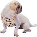 Blueberry Pet Soft & Comfy Made Well Blooming Floral No Pull Mesh Dog Harness Vest in Creamy White, Chest Girth 17.5"-21", Small, Adjustable Harnesses for Dogs