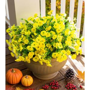 Artificial Fall Flowers Fake Plants for Outdoors Autumn Decoration, 12 Bundles Yellow Silk Morning Glory with Eucalyptus Look Real UV Resistant Faux Flowers for Outside Planters Front Door Yard Indoor