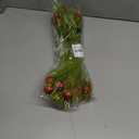 2 x 16pcs Christmas Tree Toppers, 14.96 in Plastic Green Pampas Grass Decor with Red Balls Elf Ornaments Stems Curly Tree Picks for Christmas Home Craft Decoration Supplies