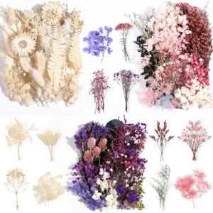 Comkrivy Real Dried Flowers 100% Natural Dried Flowers, Mixed Colors Dried Leaf Flowers for DIY Arts and Crafts Candles Resin Jewelry Nail Pendant Cards Scrapbooking Wedding Home Decoration (Violet)