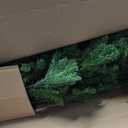 National Tree Company 9 ft Pre-Lit Kingswood Fir Slim Artificial Christmas Tree, 500 Clear Lights, 1,443 Tips, Includes Stand, Green