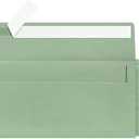 Mulbozy 200 Pcs #10 Business Envelopes, Self Seal Standard Envelopes, Windowless Business Mailing Envelopes for Office Checks Letters Invoices Statements Wedding, Size 4-1/8 x 9-1/2 inch (Sage Green)