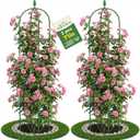 2 Pack Garden Obelisk Trellis for Climbing Plants, 6 FT Metal Rustproof Plant Support Rose Trellis, Tower Potted Cages for Flowers Fruits Vegetable Vines Indoor & Outdoor, Green(4 Tiers)
