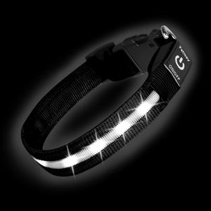 PetIsay Light up Dog Collar - High Visibility & Durable Nylon Material - USB C Rechargeable & Waterproof LED Dog Collar for Night Walking,Lighted Dog Collars Glow in The Dark Flashing(White,XL)