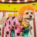 Rubies Clown Pet Costume for Dogs or Cats, XL (Extra Large, Green)