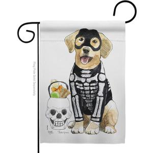 Spooky Skeleton Lab Garden Flag - Fall Halloween Witch Trick or Treat Night Black Cat Season Autumntime Pumpkin - House Decoration Banner Small Yard Gift Double-Sided Made In USA 13 X 18.5