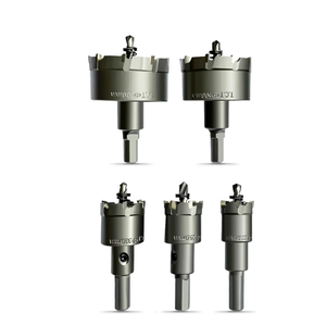 DEHUIWI 10Pcs TCT Carbide Hole Saw Kit for Metal, 5/8" to 2-1/8" Pilot Drill Bits for Metal, Tungsten Carbide Hole Cutter Set, Titanium-Plated Stainless Steel for Iron, Wood, Plastic
