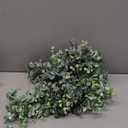 DearHouse Faux Eucalyptus Garland Plant, 2 Pack Artificial Vines Hanging Eucalyptus Leaves Greenery Garland for Wedding Backdrop Arch Wall Decor, 6 Feet/pcs UV Protected Indoor Outdoor