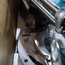 Makita LS1219L 12" Dual-Bevel Sliding Compound Miter Saw with Laser