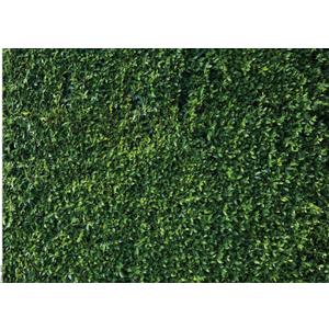 10X8FT Green Leaves Photography Backdrops Leaf Green Vertical Texture Backdrop Birthday Background for Birthday Party Seamless Photo Booth Vinyl Backdrop PCK41D
