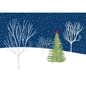 Midnight Cardinal Deluxed Boxed Holiday Cards (Christmas/ Holiday/Greeting Cards)