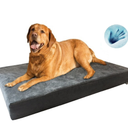 Dogbed4less Orthopedic Memory Foam Dog Bed, Waterproof Gray Suede Cover, Jumbo 55x42 (Cover Not Included)