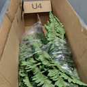 Artificial Boston Fern Bush- Set of 2 Large Artificial Ferns for Outdoors, 45Inch Large Faux Ferns, Suitable for Office & Living Room Decor, 55Branches for Each Bouquet
