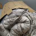 Bedsure King Comforter Set - Beige Bed Set, 3 Pieces Cute Floral Bedding, 1 Soft Botanical Flowers Comforter and 2 Pillow Shams