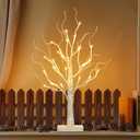 EAMBRITE Birch Tree with Led Lights, Christmas Decorations for Home Indoor with Timer, Lighted Mini Small Artificial Lamp Prelit Twig Tree Battery Operated for Xmas Table Centerpiece Party Decor