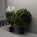 Pack of 2 24.5inch Artificial Topiary Ball Plants, Faux Boxwood Ball in Pot, Fake Outdoor Plant for Front Door Decor, Home Decor, Garden, Wedding Decor (Green)