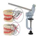 Typodont Teeth Model Training Mount, Desk-Clamp Dental Manikin Stand with Adjustable Ball Joint for Dental Education (Model NOT Included) Compatible Rod Diameter 10mm