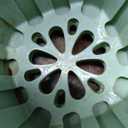 Momcozy Bottle Warmer, Fast Bottle Warmers for All Bottles with Timer, Accurate Temperature Control and Automatic Shut-Off, Multifunctional Bottle Warmer for Breastmilk (Green+White)