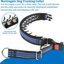 Mayerzon Martingale Collar for Dogs, No Pull Dog Collar with Reflective Strip for Small Medium Large Dogs, Anti Pulling Dog Collar with Buckle for Walking Training, Safe for Night Walk(Blue, L)