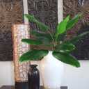 Artificial Banana Tree Plants Imitation Bird of Paradise Plant Faux Tropical Greenery Leaves Bush Fake Large Leaf for Indoor Outdoor Home Kitchen Party Flowers Arrangement Wedding Decorations 2 Pack