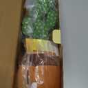 MILEGI Dancing Talking Cactus Toy, Baby Singing Recording Mimicking Cactus Toy, Repeats What You Say, Musical Interactive Infant Toddler Toys for 1 Year Old Boys Girls