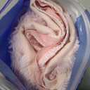 MIULEE Valentines Pillow Covers 18x18 Inch Set of 2 Valentines Day Light Pink Heart Love Decorative Cute Soft Plush Faux Fur Throw Pillows for Girl Bedroom Couch Sofa Holiday Home Decor