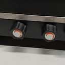 Giantex Portable Propane Grill & Camping Stove, 20,000 BTU Gas Camping Grill Burner, Independent Temperature Control, 3-Sided Wind Guard, Detachable Legs, for BBQ, Tailgating, Outdoor Cooking (Black)