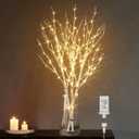 LITBLOOM Lighted White Birch Twig Branches 30IN 150 LED Plug in with Timer and Dimmer, Artificial Tree Branch with Lights for Indoor Outdoor Home Christmas Room Decoration