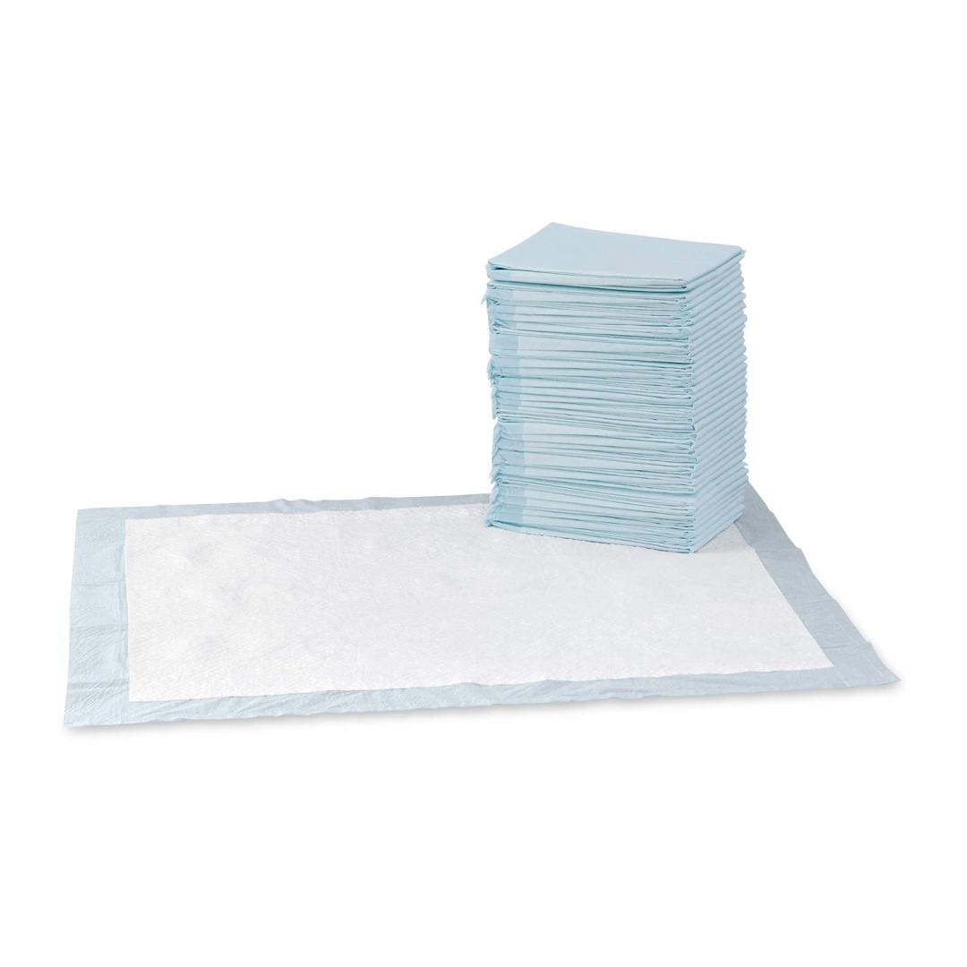 Basics Puppy Pads with QuickDry 5Layer LeakProof Design for Potty Training, XLarge Size 28 x 34 Inch, Pack of 40, Blue & White