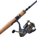 Pflueger President Spinning Reel and Fishing Rod Combo (30 Size Reel - 6'9" - Medium Light - 1pc)
