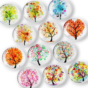 FINDMAG 12 Pcs Fridge Magnets, Decorative Refrigerator Magnets, Festival Glass Magnet Refrigerator Fun, Strong Cute Magnet for Fridge, Whiteboard, Office, Classroom, Birthday Gifts (Blooming Beauty)
