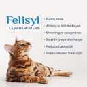 Felisyl L-Lysine Granules for Cats 100g (3.5 oz, 310 Servings)  Supports Immune, Respiratory, and Eye Health. Eases Sneezing, Runny Nose, and Watery Eyes. Tasty Salmon Flavor - Made in The USA