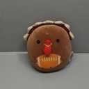 Turkey Ace Plush with Football, Stuffed Animal Toy 11 In