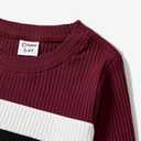 PATPAT Family Matching Outfits Fall Winter Cotton Long Sleeve Bodycon Dresses and Sweatshirts Tops Sets (L)