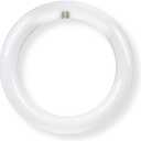 Feit Electric FC8/3CCT/LED Non Dimmable Indoor 8" LED Circline Light Bulb; Warm White, Cool White Or Daylight with A Standard Light Switch; 1400 Lumens, 15 Watt Input Power, 25000 Life Hours, 120V