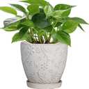 6 Inch Ceramic Plant Pot for Indoor Plants Outdoor Round Planter Flower Pot with Drainage Hole and Saucer for Home Garden Office Decor White