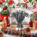Janlaugh Christmas Candy Cane Scented Pens Bulk with Peppermint Candy Scented Ink Ballpoint Pen for Christmas Stocking Stuffers Gifts Stationery Supply(Black,White,30 Pcs)