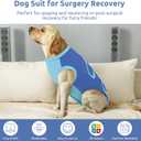 Queenmore Large Recovery Suit for Dogs After Surgery Blue,L Professional Pet Recovery Shirt Dog Abdominal Wounds Bandages, Adjustable Pet Surgery Recovery Suit