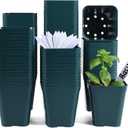 June Fox Small Seedling Pots 4 Inch, 100 Pcs Square Plant Pots Bulk, Plastic Nursery Pots with Drain Holes for Seedlings, Succulents, Cuttings (Green)