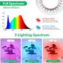 2 Pack LED Grow Lights for Indoor Plants, Full Spectrum Plant Light with Adjustable Height 7.8"-26", 3 Colors 5 Dimmable, Auto Timer 3/9/12H, Plant Growing Lamps with Succulents Herbs