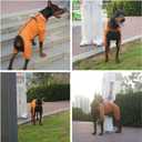 Winter Waterproof Dog Snowsuit  Full Body Outdoor Jacket with Leash Ring, Fleece Lining, Windproof Reflective 4-Leg Dog Coat for Small to Large Dogs Mustard Yellow XXL (XXL (Back Length 19.5"))