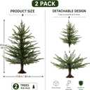 2 Pack 2 ft Tabletop Norfolk Pine Christmas Trees with Vintage Base