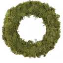 Natural Preserved Moss Wreath for Front Door or Wall, Green, Handmade 16 inch
