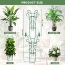 6 Pack Indoor Plant Trellis for Potted Plants, Stackable Garden Trellis for Climbing Plants Outdoor, Small Trellis for Houseplants Rose Hoya Pothos Plant Climber Support