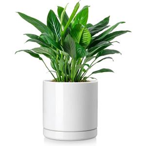 vancasso Ceramic Plant Pots, 8.25 Inch Ceramic Pot for Plants, Planters Pots for Indoor Plants with Drainage Holes, Flower Pot for Indoor House Plant, White